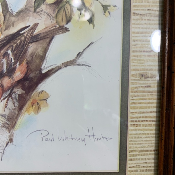 Framed birds print by Paul Whitney Hunter 16x13 - Picture 3 of 7